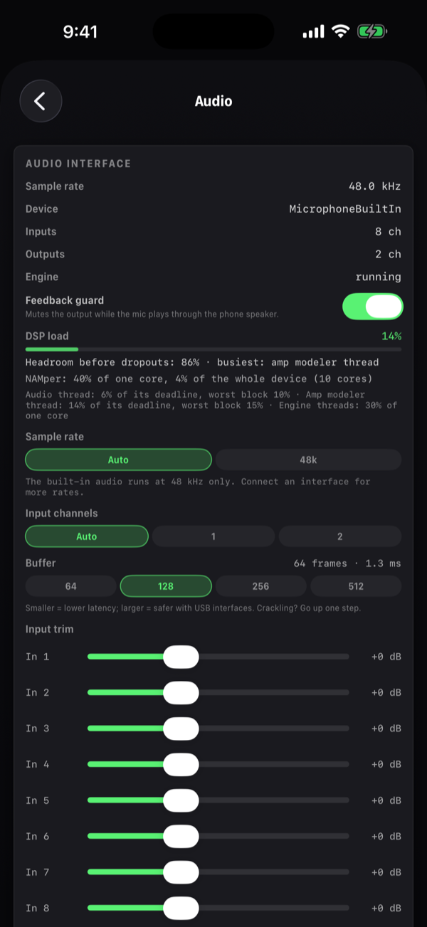 The top of the Audio page: the interface rows, the feedback guard, the DSP load bar with three lines of text under it, then the sample rate, input channel and buffer chips and the input trims.