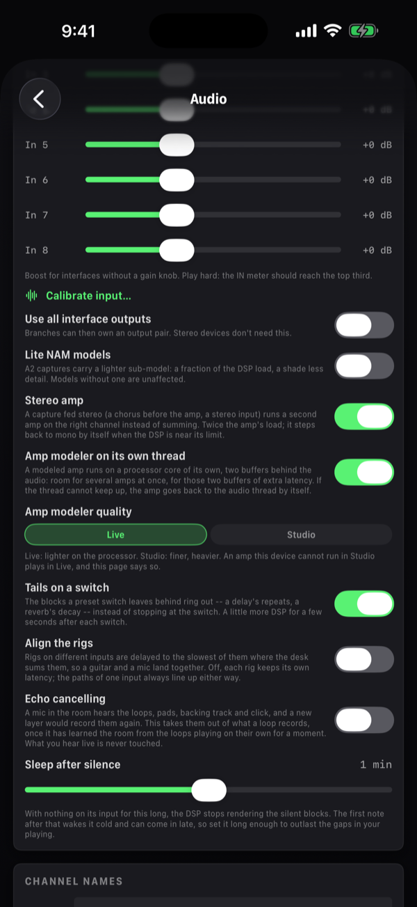 Further down the Audio page: the switches for the interface outputs, the Lite NAM models and the stereo amp, the amp modeler's own thread switched on, its quality chips on Live, then the tails, rig alignment, echo cancelling and sleep settings.
